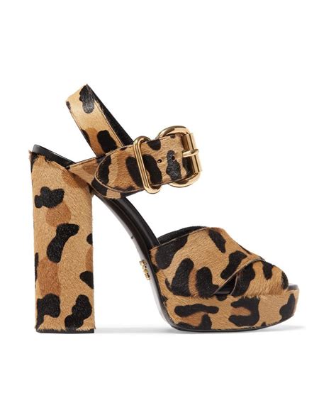 prada tiger print calf hair platform sandals|Prada Animal Print Genuine Calf Hair Slide Sandal (Women.